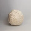 Tortoise-Chisato Yasui Art*005 Chisato Yasui Ceramic Sculpture