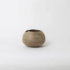 Tortoise-Hiroto Nakanishi Art*030 Hiroto Nakanishi Wood Sculpture