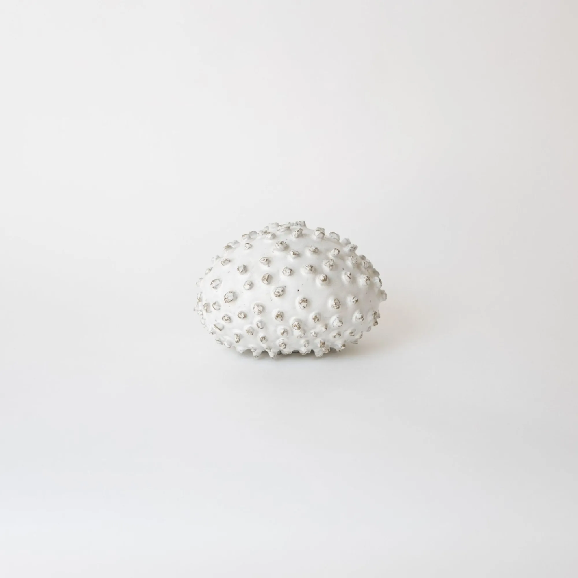 Tortoise-Masanobu Ando Art*014 Masanobu Ando Ceramic Sculpture