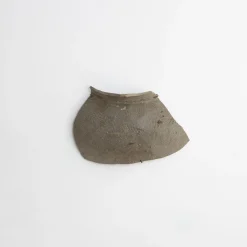 Tortoise-Unknown, Japan Vintage*034 Unknown, Japan Ceramic Object