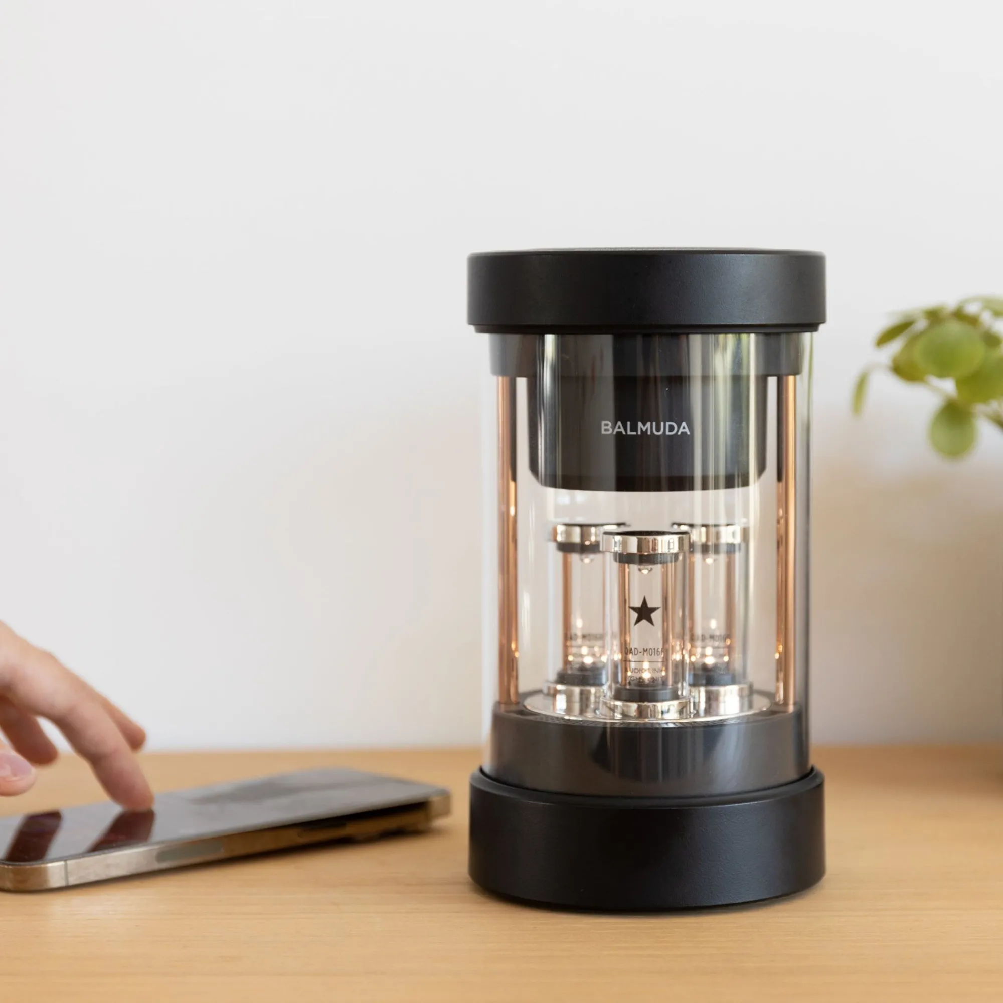 SAIKAI (Others) Home Decor*Balmuda - The Speaker