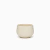 SAIKAI (Others) Drinking*Chanoma Ivory Tea Cup [4-543]