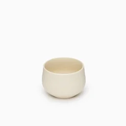 SAIKAI (Others) Drinking*Chanoma Ivory Tea Cup [4-543]