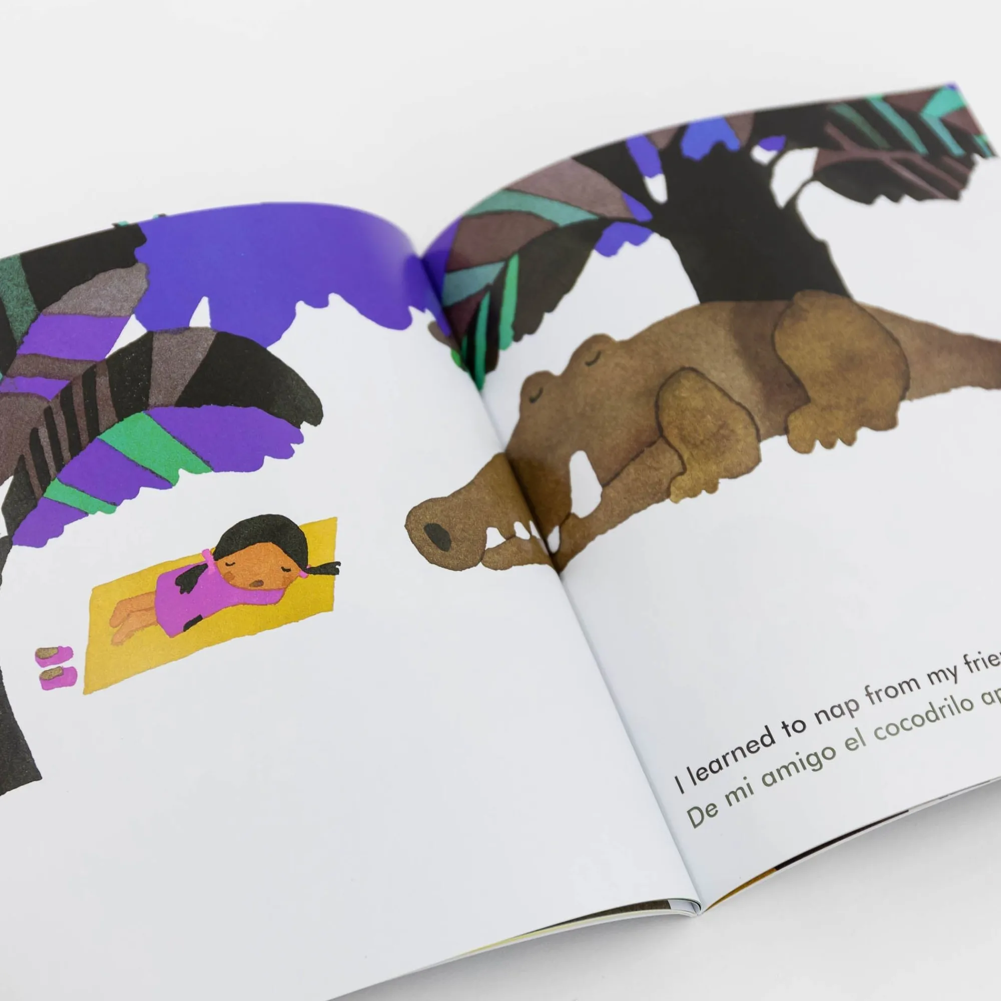 Chronicle Books Kids & Baby*Children'S Book Classic: My Friends/Mis Amigos By Taro Gomi