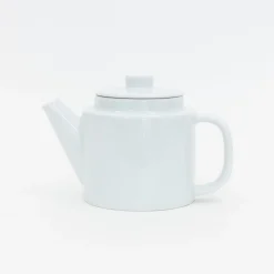 SAIKAI (Others) Drinking*Common Teapot
