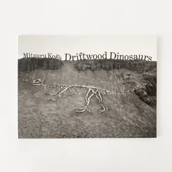 TORTOISE-Koga Art*Driftwood Dinosaurs' By Mitsuru Koga