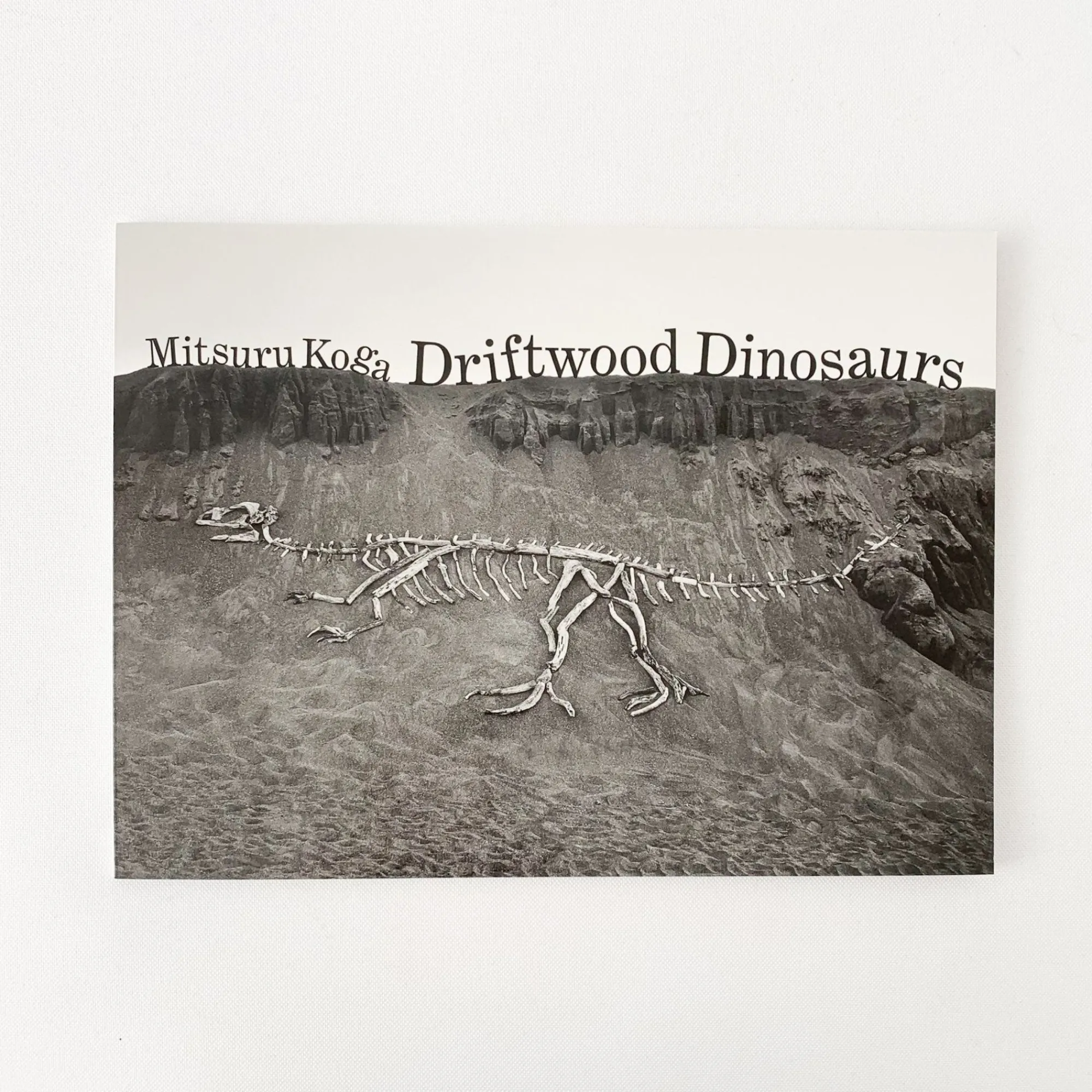 TORTOISE-Koga Art*Driftwood Dinosaurs' By Mitsuru Koga
