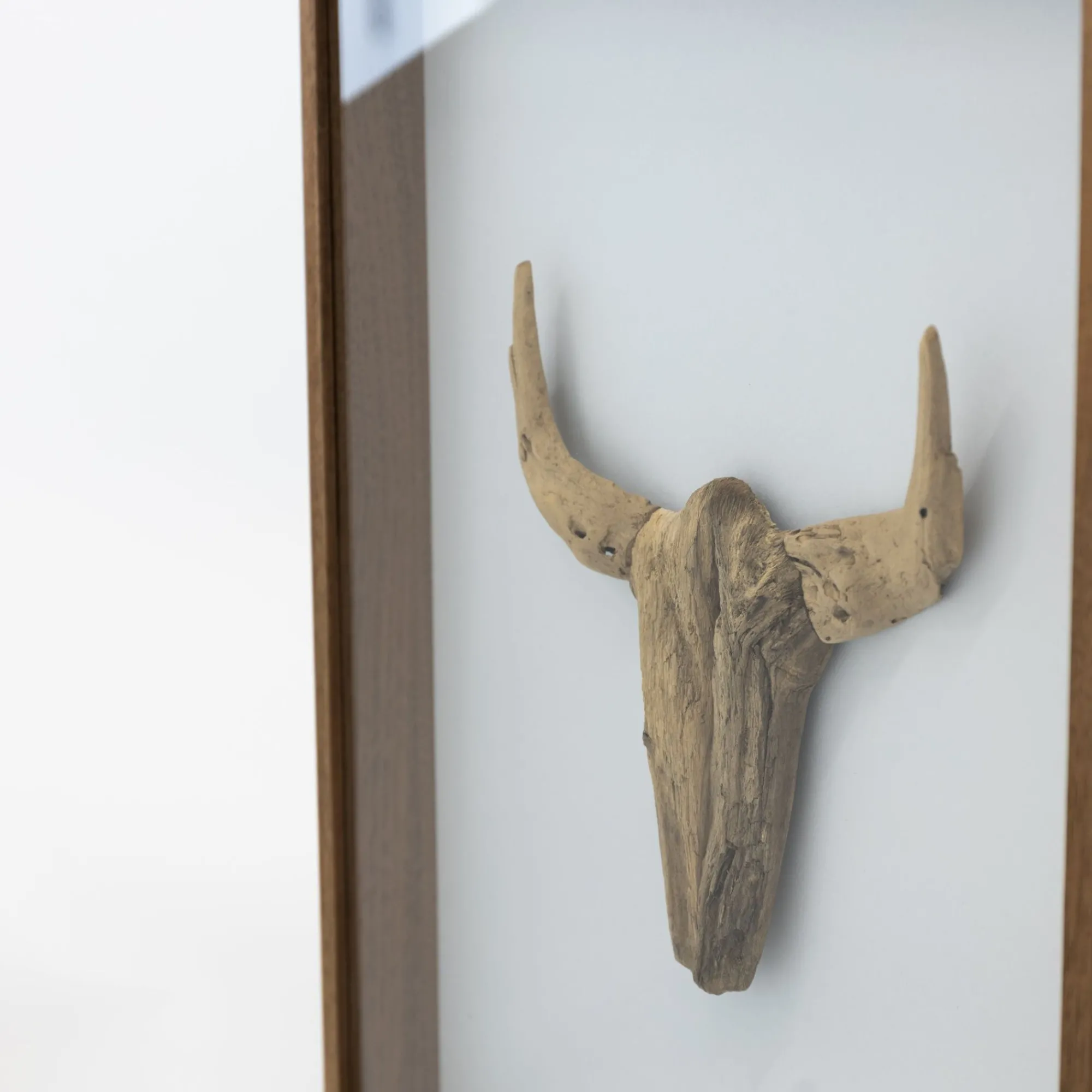 TORTOISE-Koga Art*Driftwood Hunting Trophy #6 (2024) By Mitsuru Koga