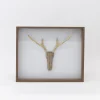 TORTOISE-Koga Art*Driftwood Hunting Trophy #1 (2024) By Mitsuru Koga