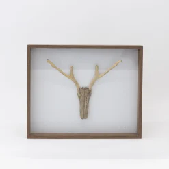 TORTOISE-Koga Art*Driftwood Hunting Trophy #1 (2024) By Mitsuru Koga
