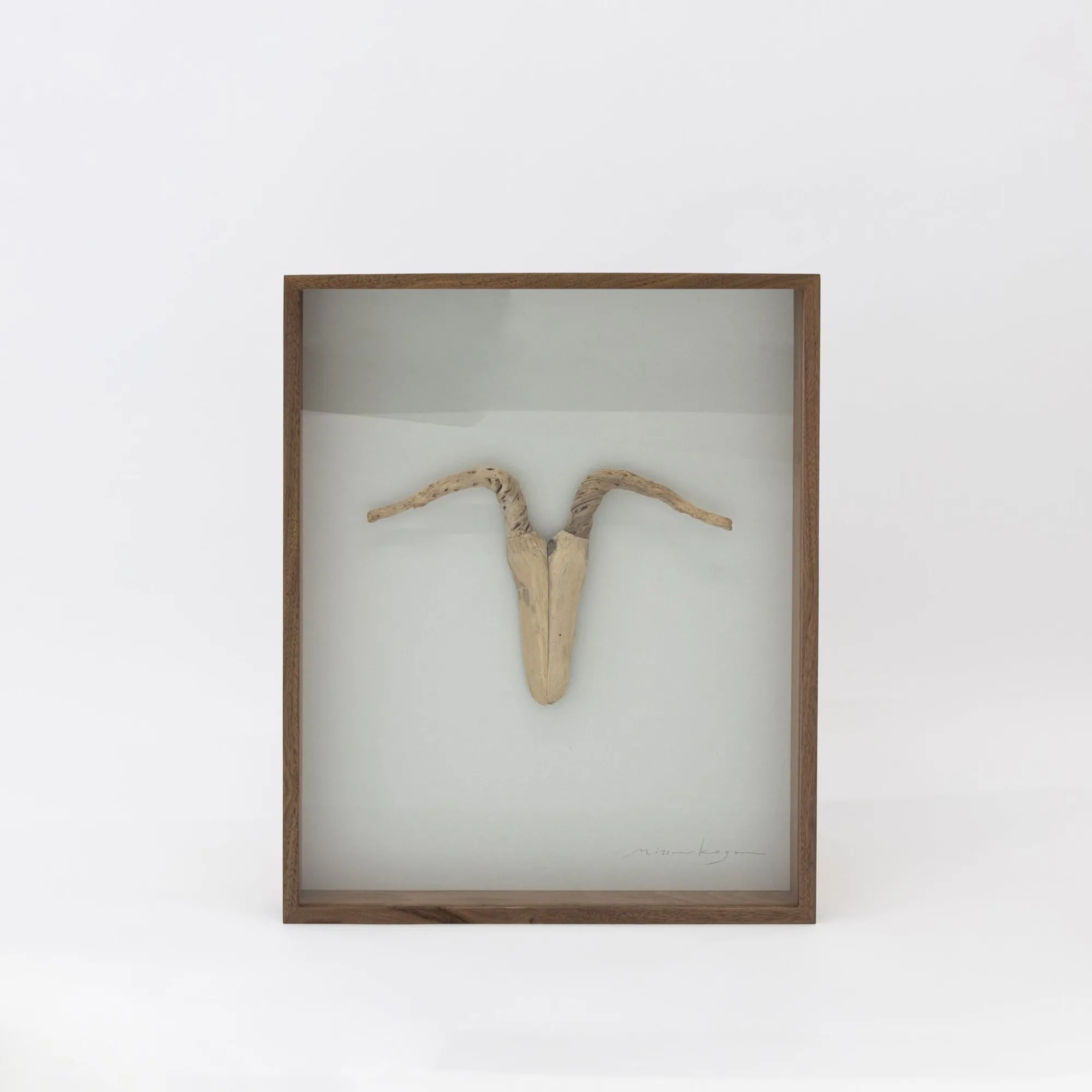 TORTOISE-Koga Art*Driftwood Hunting Trophy #5 (2024) By Mitsuru Koga