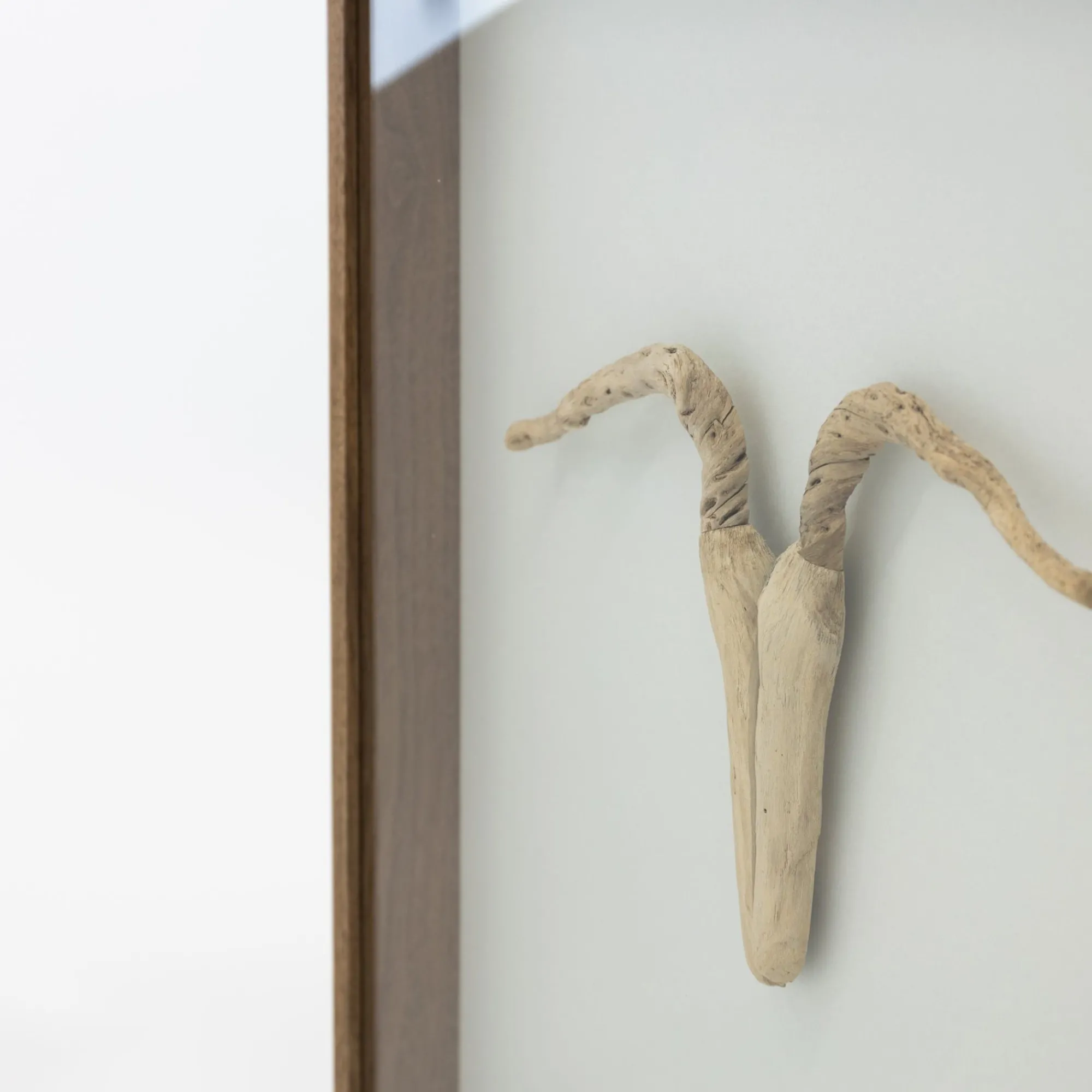 TORTOISE-Koga Art*Driftwood Hunting Trophy #5 (2024) By Mitsuru Koga