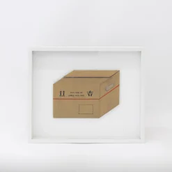 TORTOISE-Koga Art*Flatworks Box #5 (2024) By Mitsuru Koga
