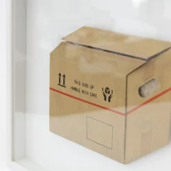 TORTOISE-Koga Art*Flatworks Box #5 (2024) By Mitsuru Koga