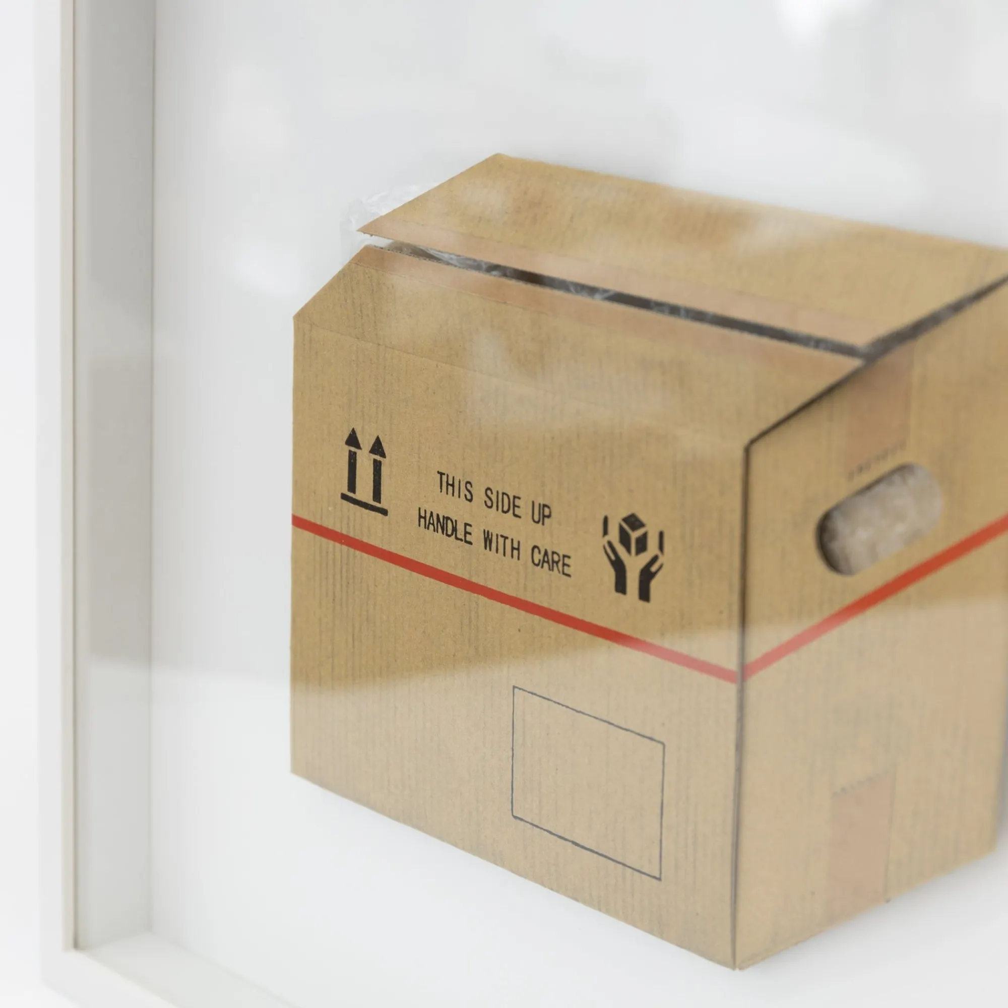 TORTOISE-Koga Art*Flatworks Box #5 (2024) By Mitsuru Koga