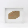 TORTOISE-Koga Art*Flatworks Box #2 (2024) By Mitsuru Koga