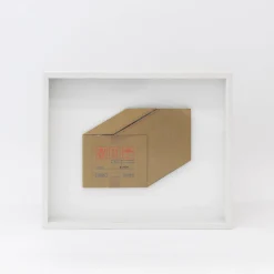 TORTOISE-Koga Art*Flatworks Box #2 (2024) By Mitsuru Koga