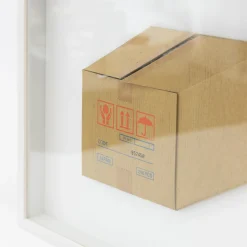 TORTOISE-Koga Art*Flatworks Box #2 (2024) By Mitsuru Koga