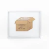 TORTOISE-Koga Art*Flatworks Box #5 (Dec 2022) By Mitsuru Koga
