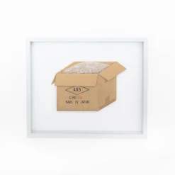 TORTOISE-Koga Art*Flatworks Box #5 (Dec 2022) By Mitsuru Koga