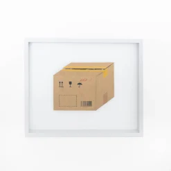 TORTOISE-Koga Art*Flatworks Box #4 (Dec 2022) By Mitsuru Koga