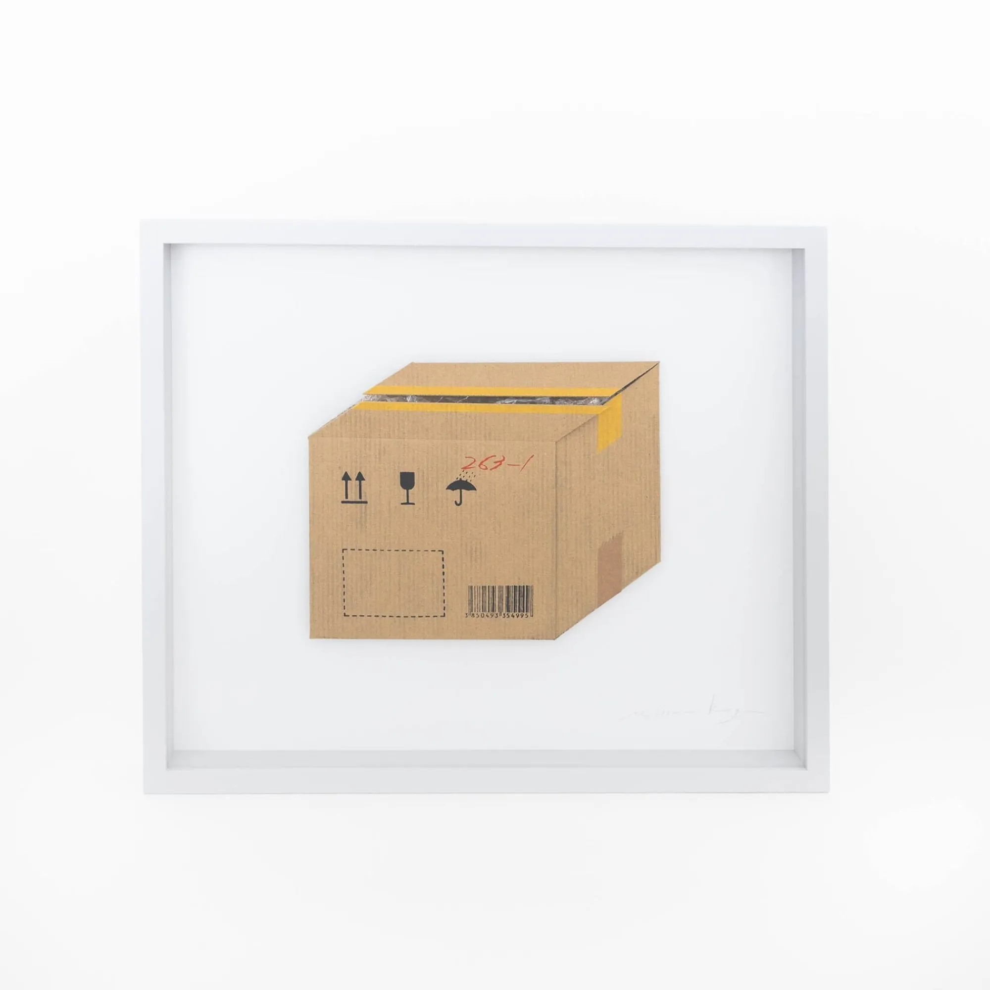 TORTOISE-Koga Art*Flatworks Box #4 (Dec 2022) By Mitsuru Koga