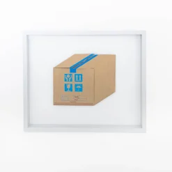 TORTOISE-Koga Art*Flatworks Box #2 (Dec 2022) By Mitsuru Koga