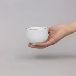 SAIKAI (Others) Drinking*Hakusan Porcelain Tea Cup