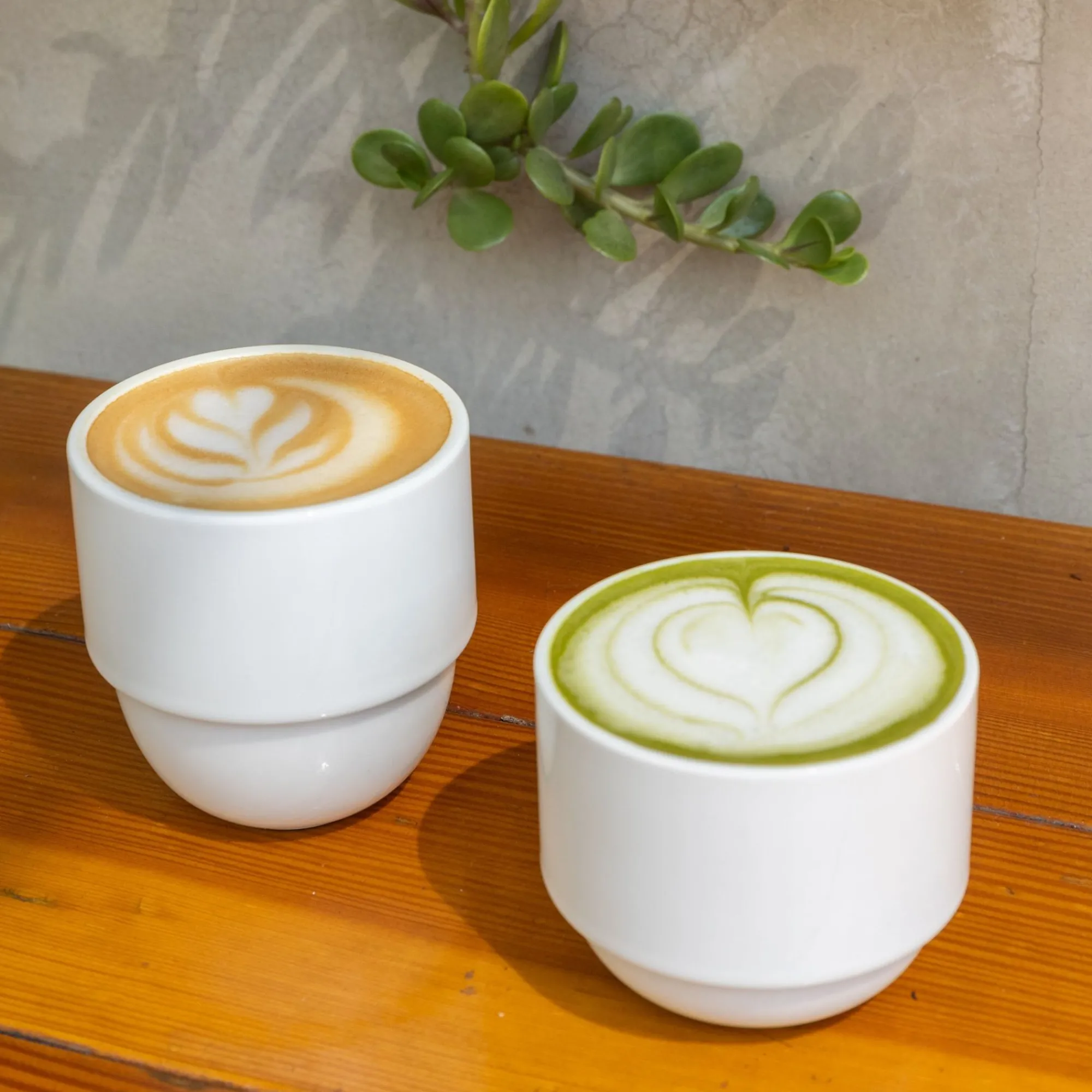 SAIKAI (Hasami) Coffee & Tea*Hpw051 - Latte Cup Tall