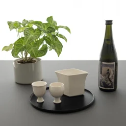 IFJ Tradings Sake Drinkware*Jicon Sake Vessels And Pitcher