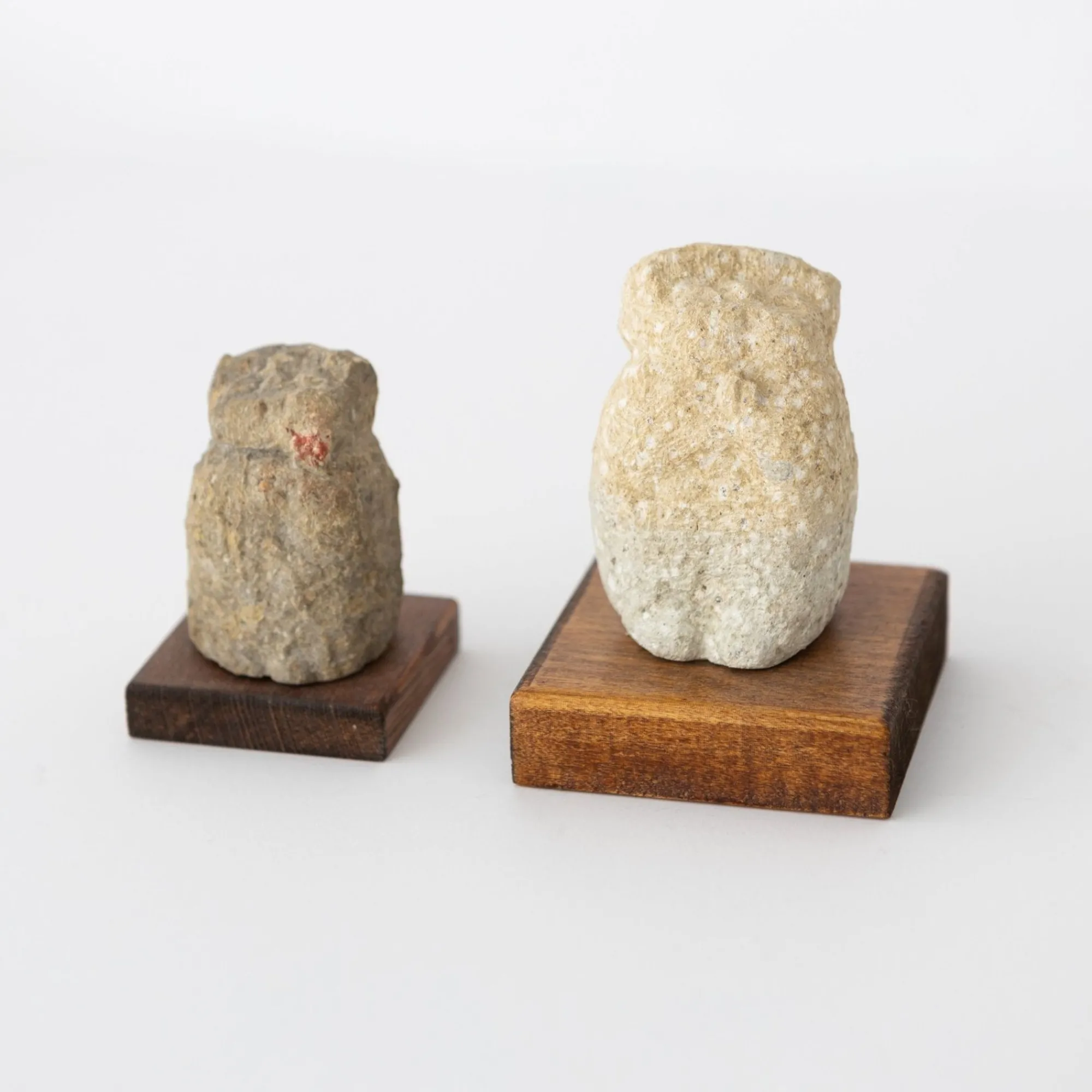 TORTOISE-yellow paper Art*Katsuyoshi Matsuzaki Stone Figures