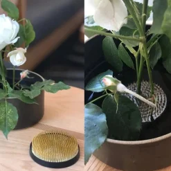 SAIKAI (Others) Outdoor*Kenzan Flower Frogs