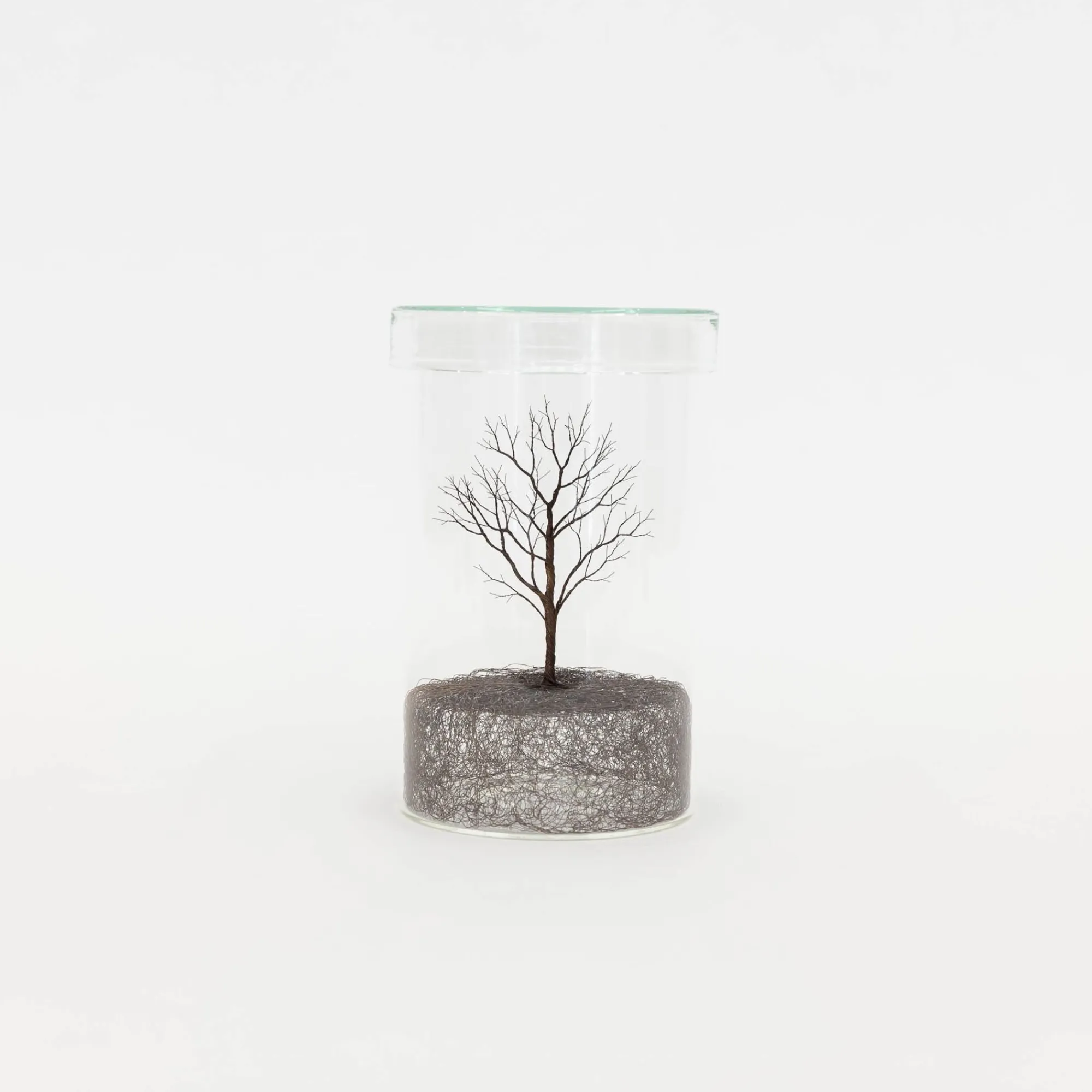 TORTOISE-Koga Art*Koga Copper Wire Trees #1, 2022