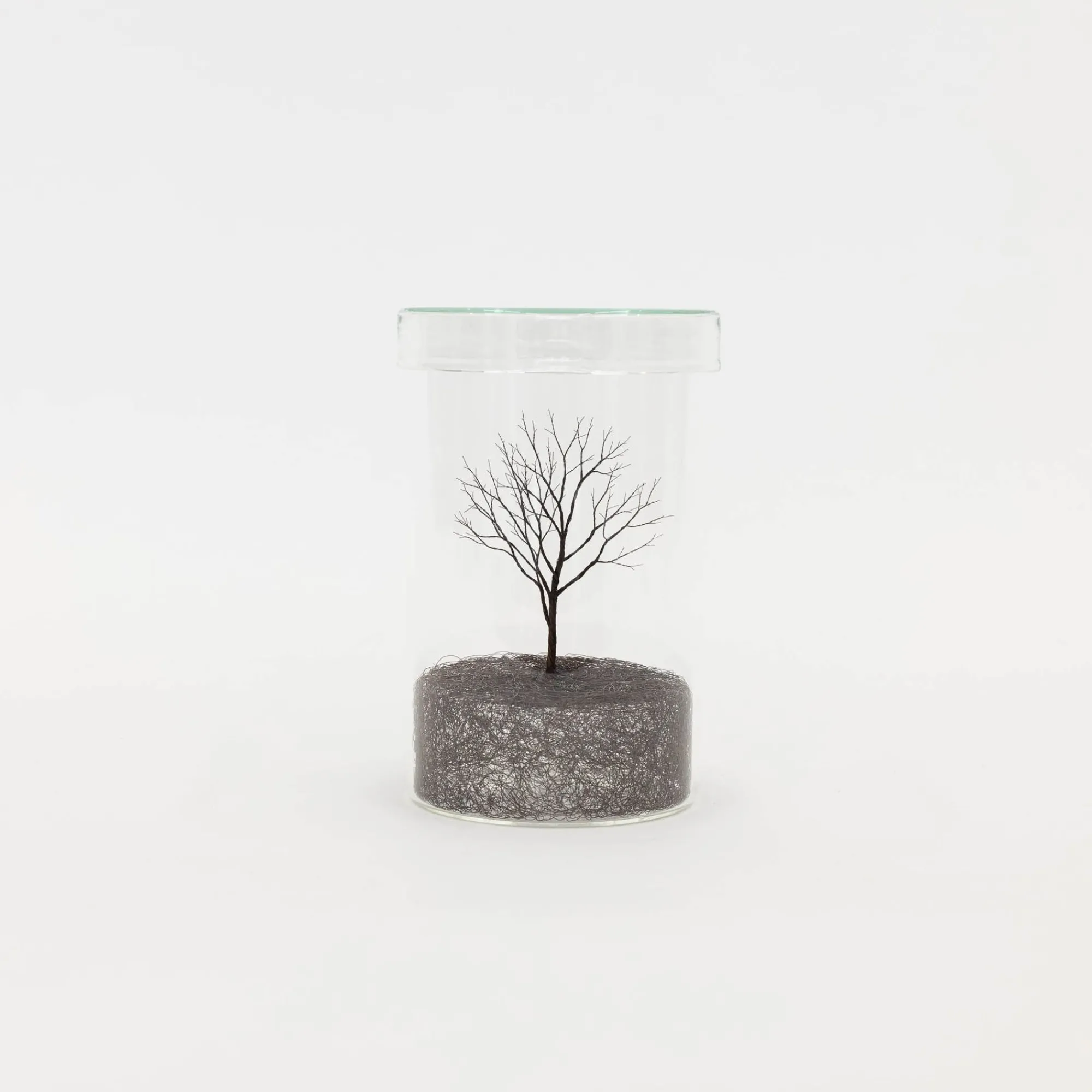 TORTOISE-Koga Art*Koga Copper Wire Trees #2, 2022