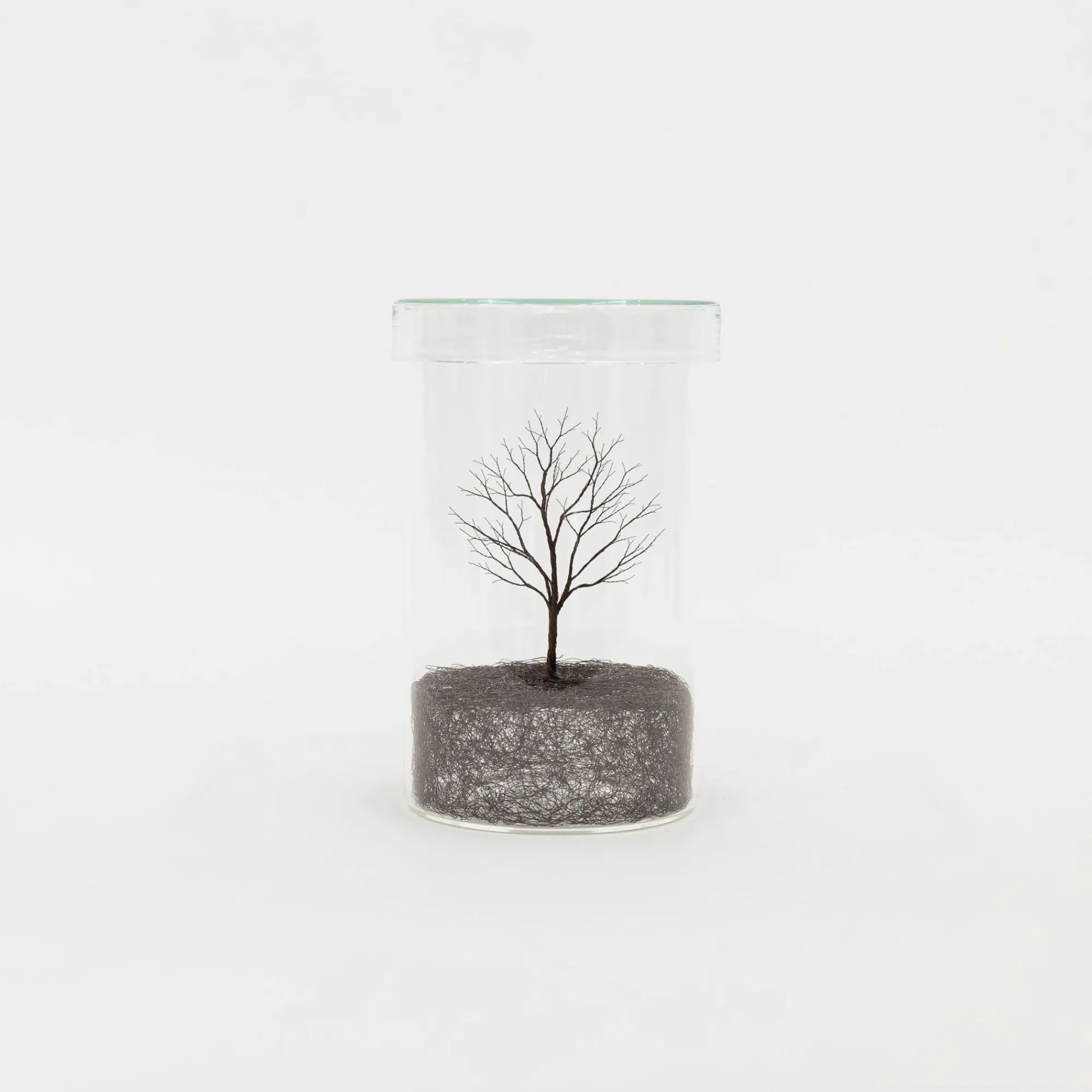 TORTOISE-Koga Art*Koga Copper Wire Trees #3, 2022