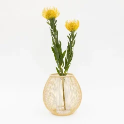 TORTOISE-yellow paper Kosuga Home Decor*Kosuga Bamboo Flower Vase - Tsubomi