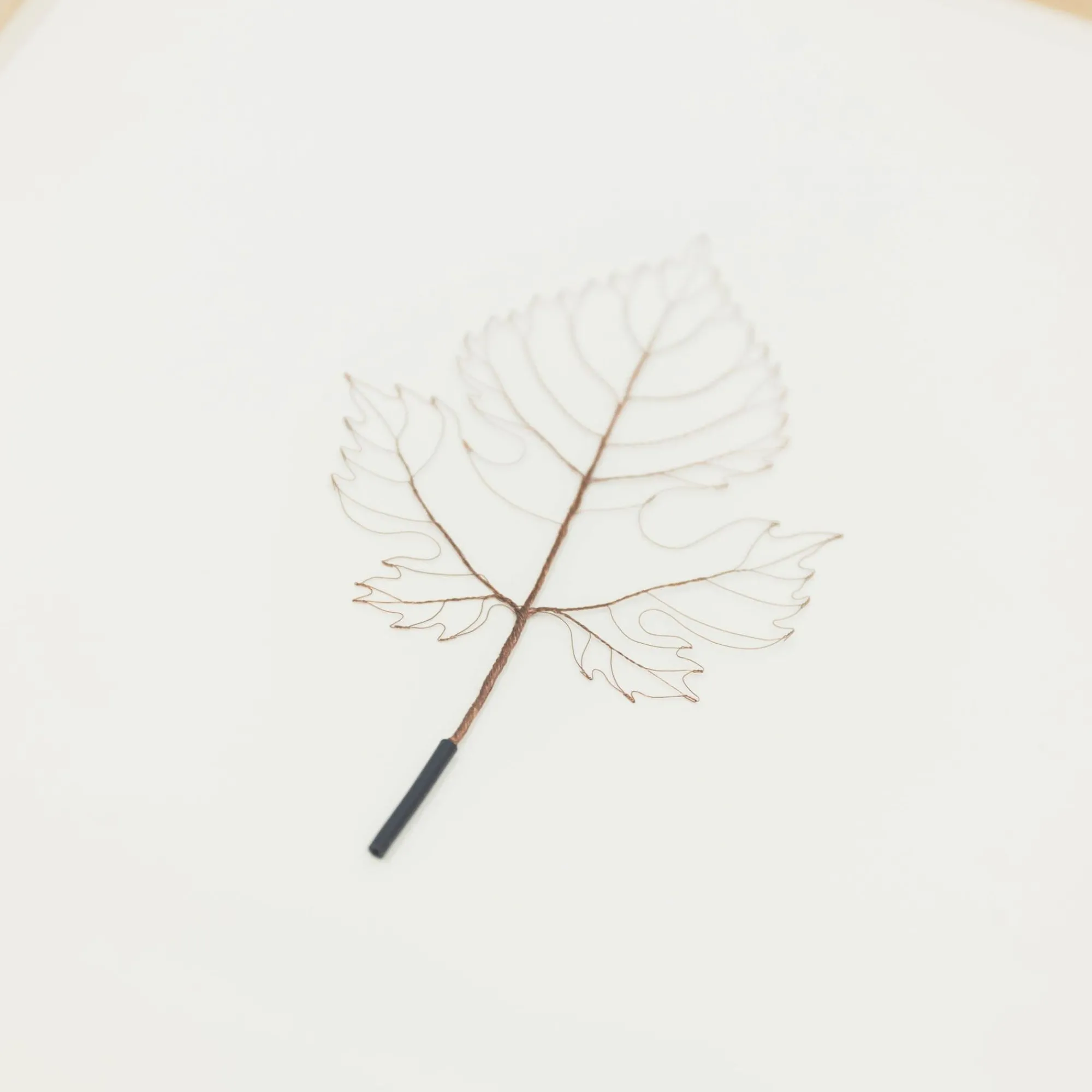 TORTOISE-Koga Art*Mitsuru Koga Copper Wire Leaf, 2022