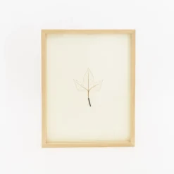 TORTOISE-Koga Art*Mitsuru Koga Copper Wire Leaf #2, 2023