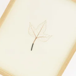 TORTOISE-Koga Art*Mitsuru Koga Copper Wire Leaf #2, 2023