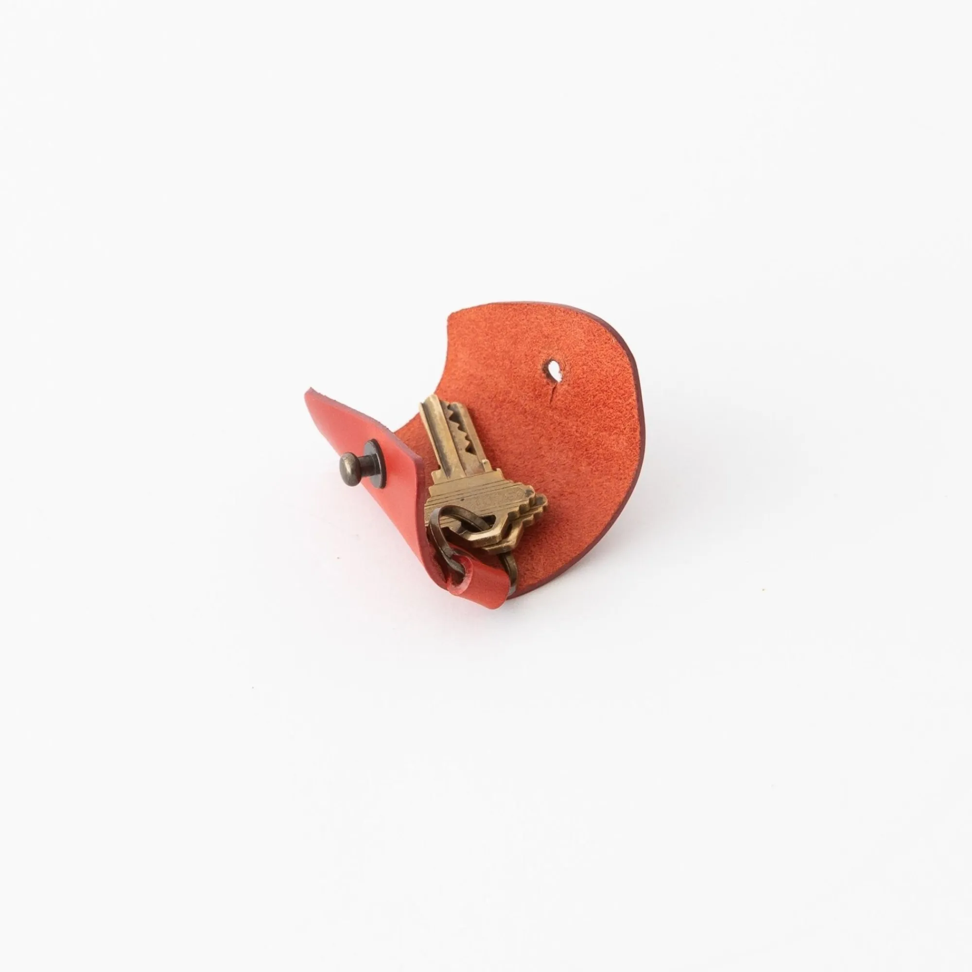 TORTOISE Office*M-Piu Leather Conchiglia Key Case