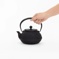 Miya Company Drinking*Nambu Tekki Cast Iron Teapot With Strainer - Arare