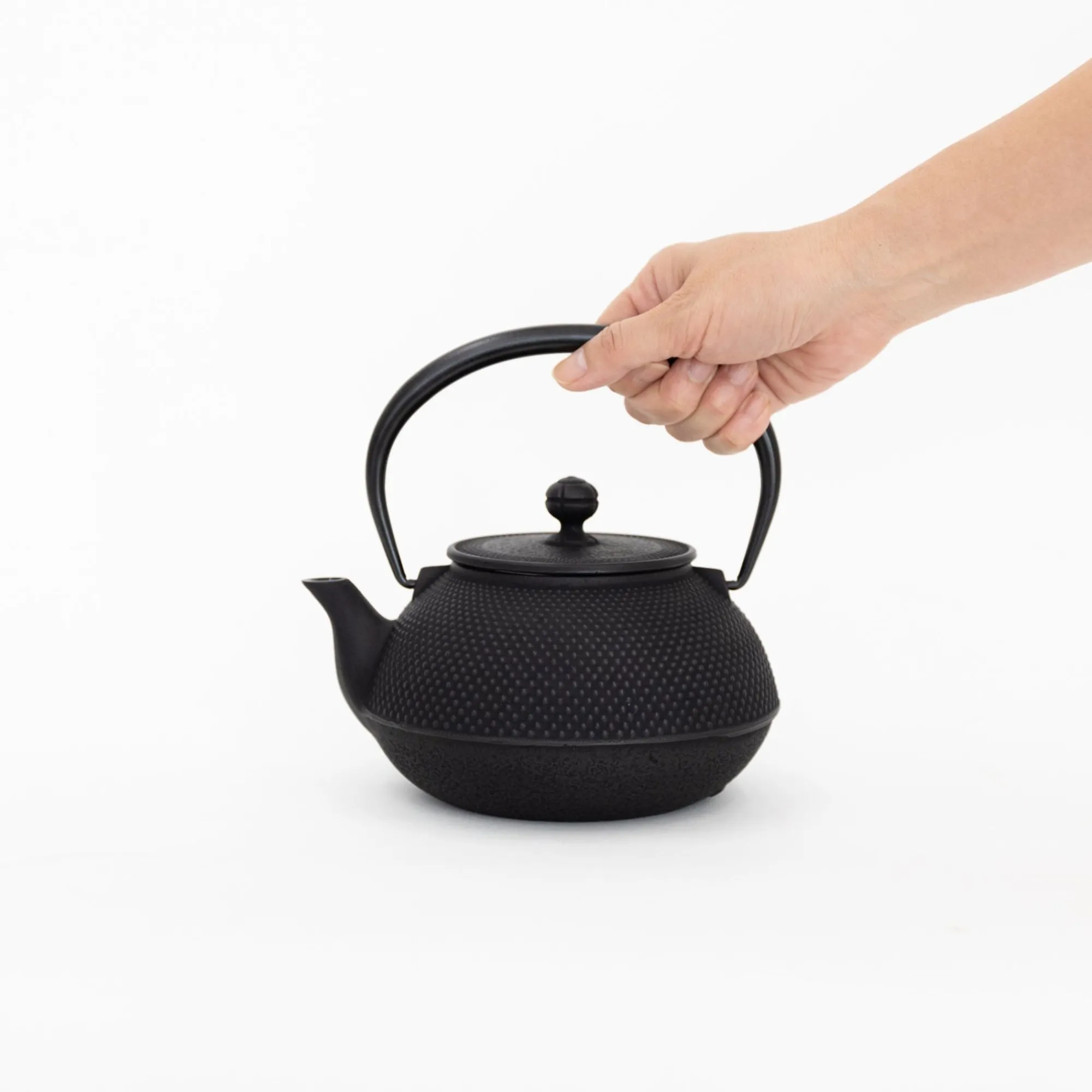 Miya Company Drinking*Nambu Tekki Cast Iron Teapot With Strainer - Arare