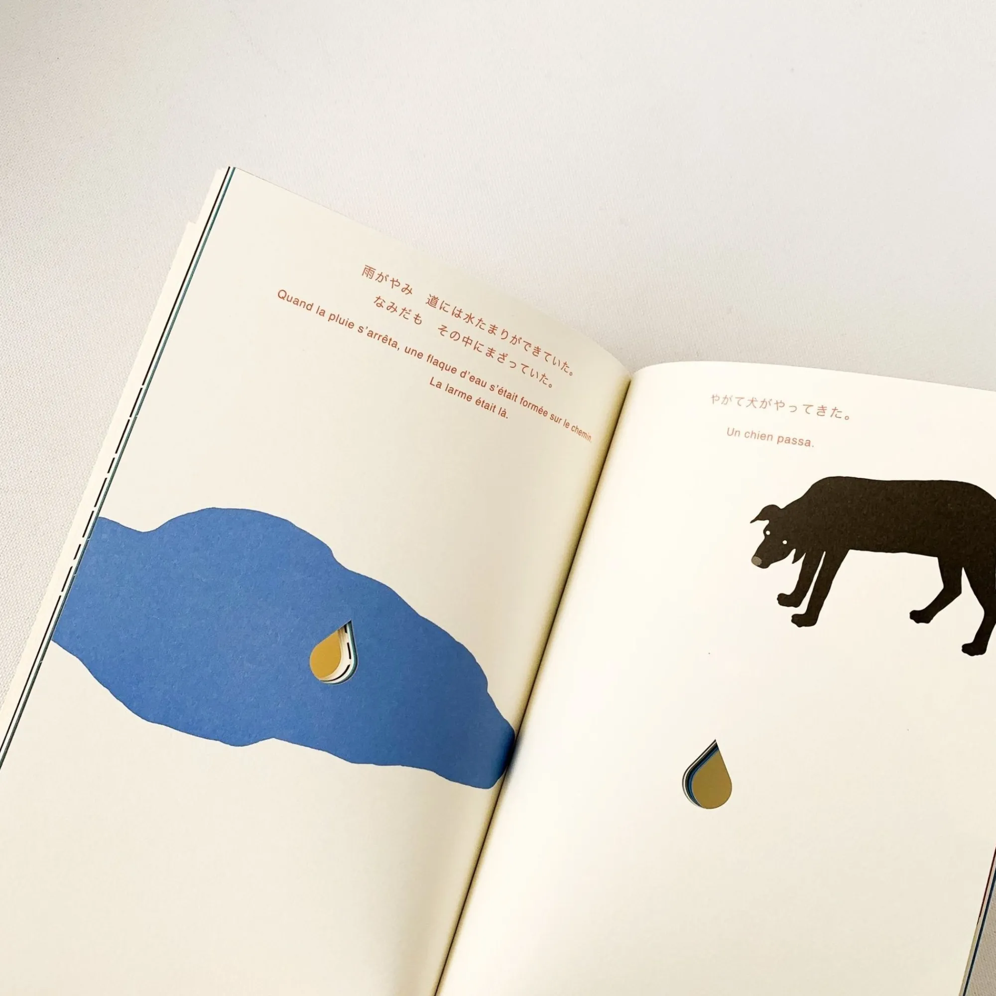 TORTOISE-yellow paper One Stroke Kids & Baby*Namida (Tear) From One Stroke