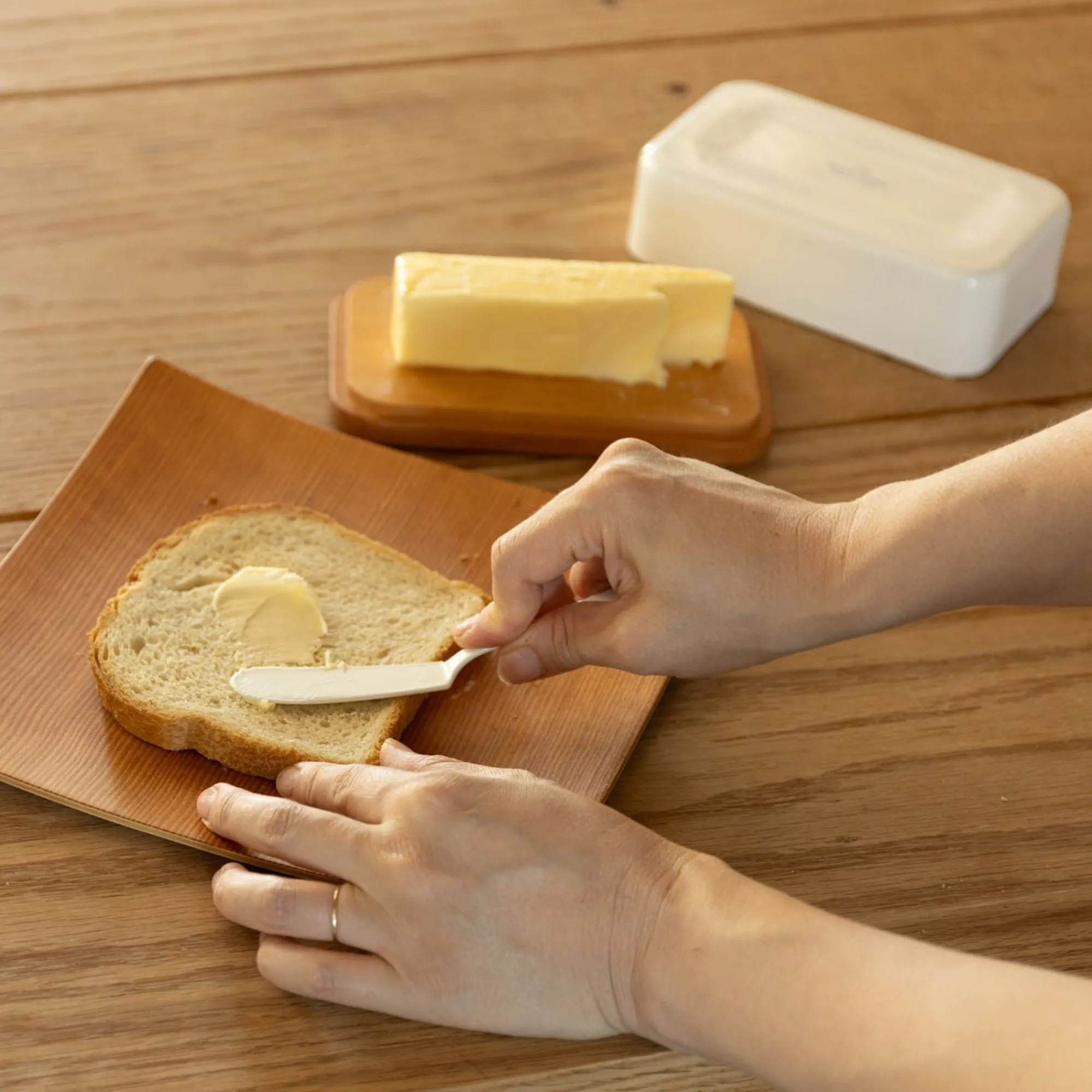 SAIKAI (Others) Eating*Noda Horo White Enamelware Utensils