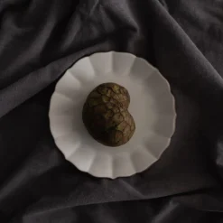 TORTOISE-yellow paper Novem Eating*Novem Kiku Plates