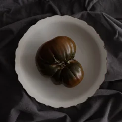 TORTOISE-yellow paper Novem Eating*Novem Kikyou Plate