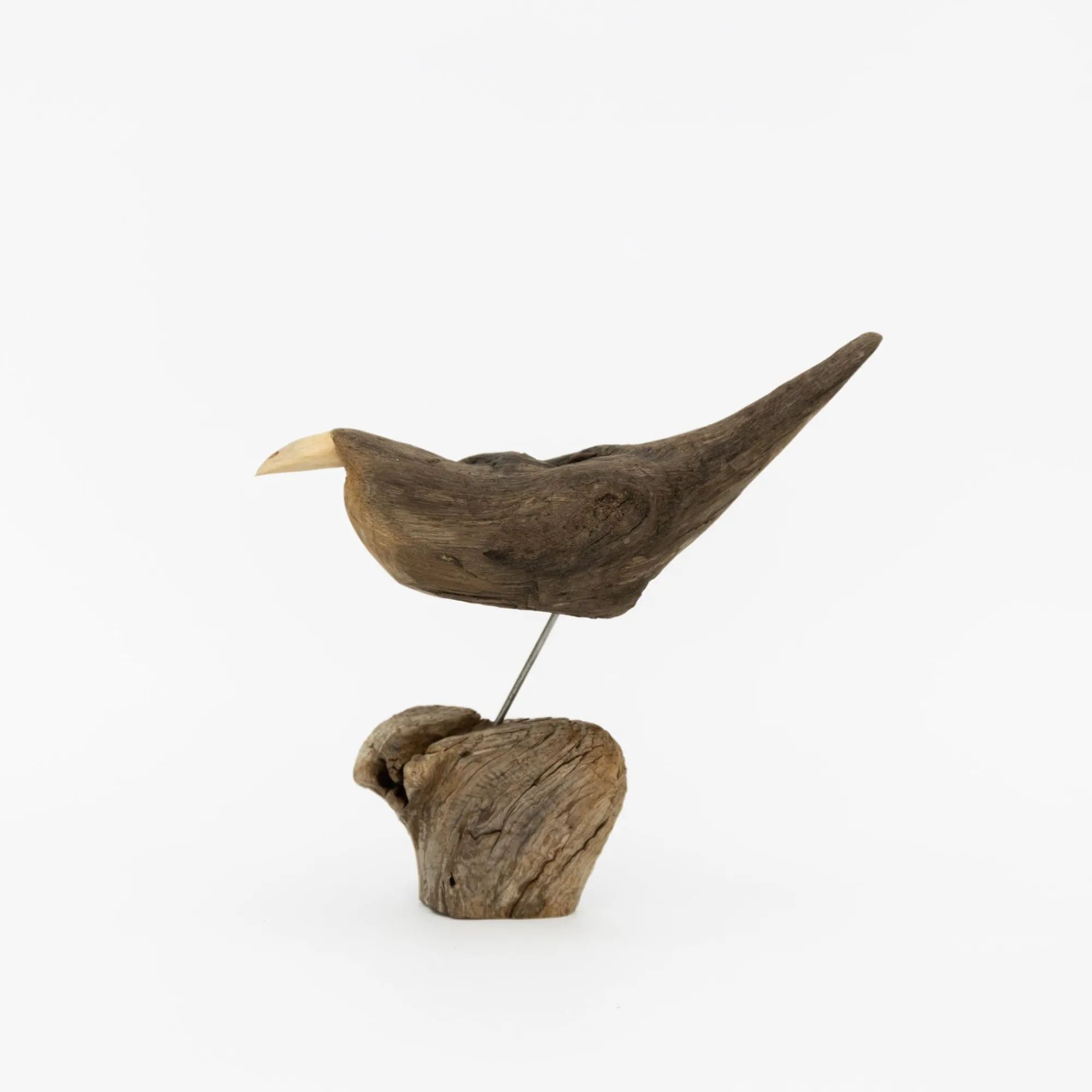 TORTOISE-yellow paper Osamu Harihara Art*Osamu Harihara Driftwood Birds - Large