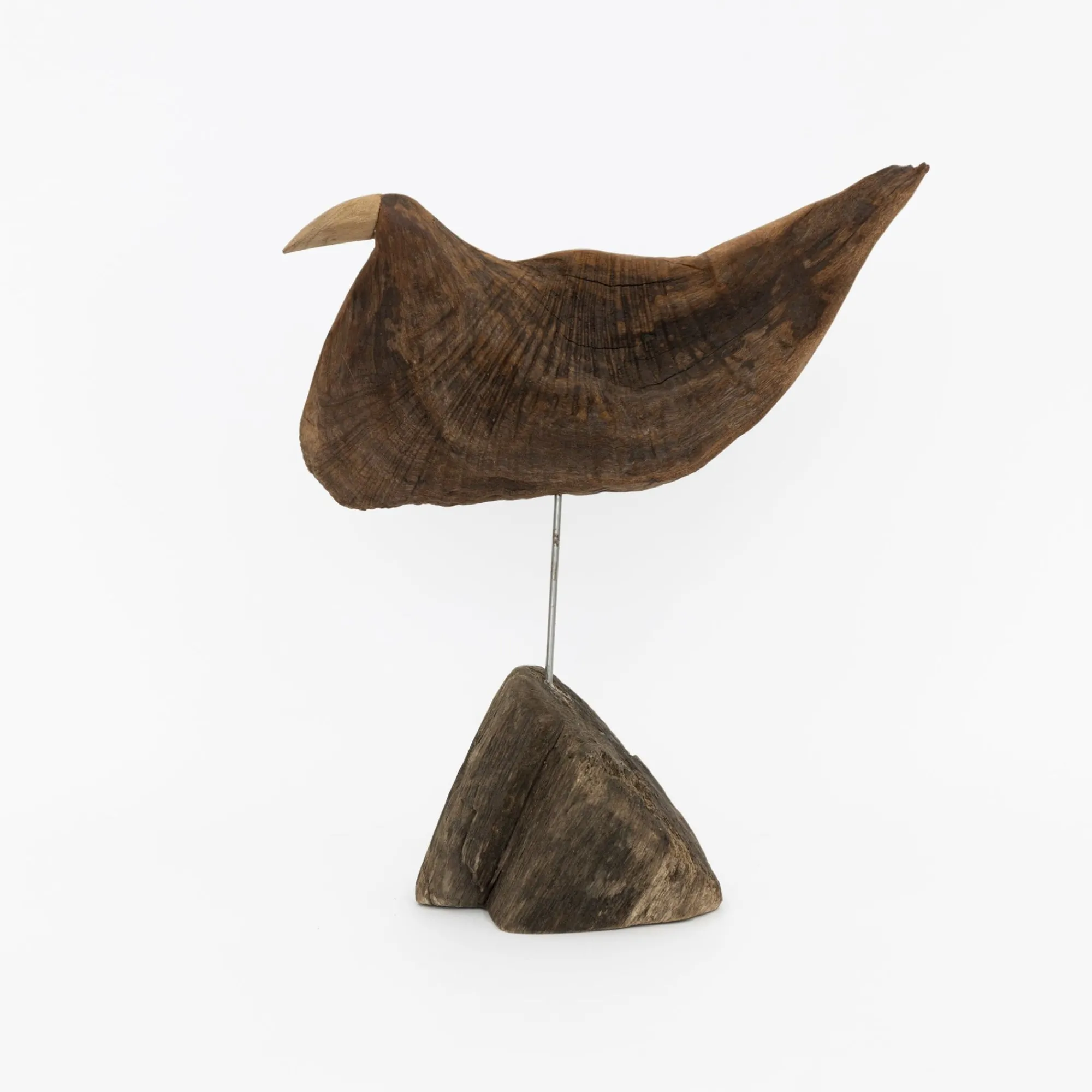 TORTOISE-yellow paper Osamu Harihara Art*Osamu Harihara Driftwood Birds - Large