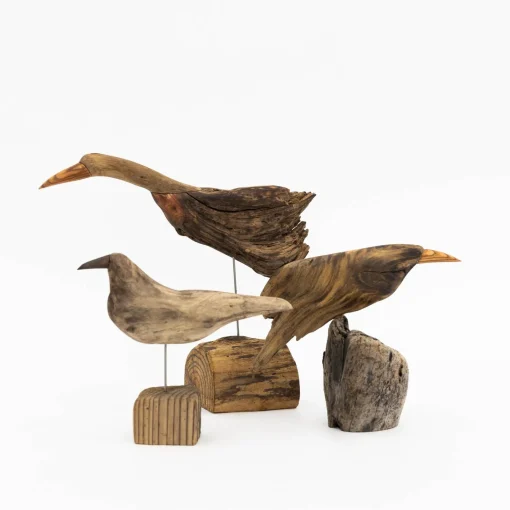 TORTOISE-yellow paper Osamu Harihara Art*Osamu Harihara Driftwood Birds