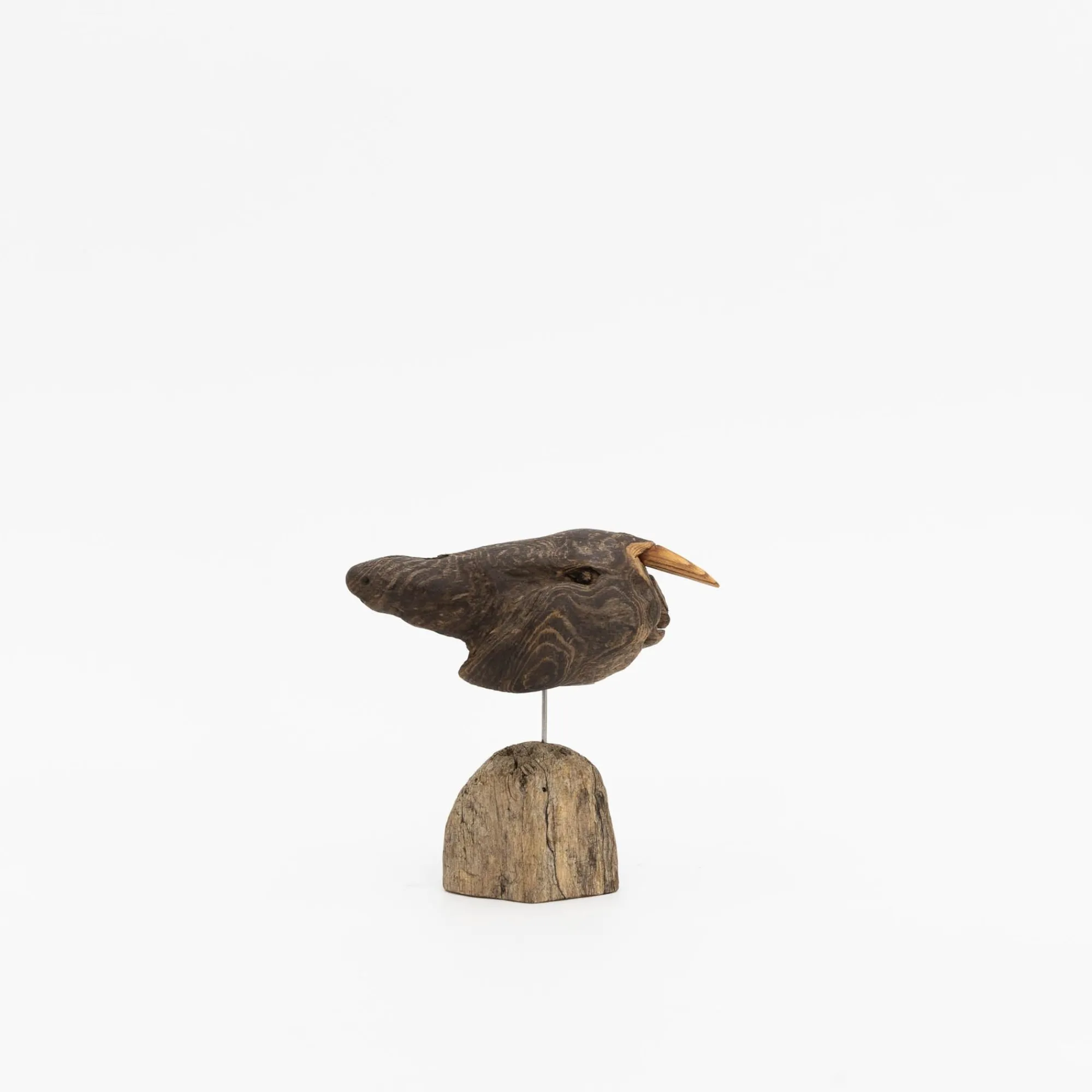 TORTOISE-yellow paper Osamu Harihara Art*Osamu Harihara Driftwood Birds